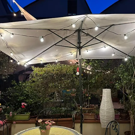 So&lo * 피스토이아